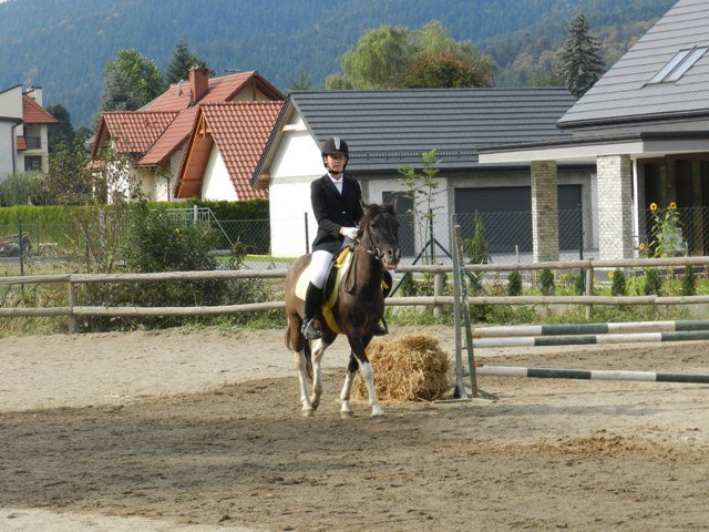 Babie Lato 2016